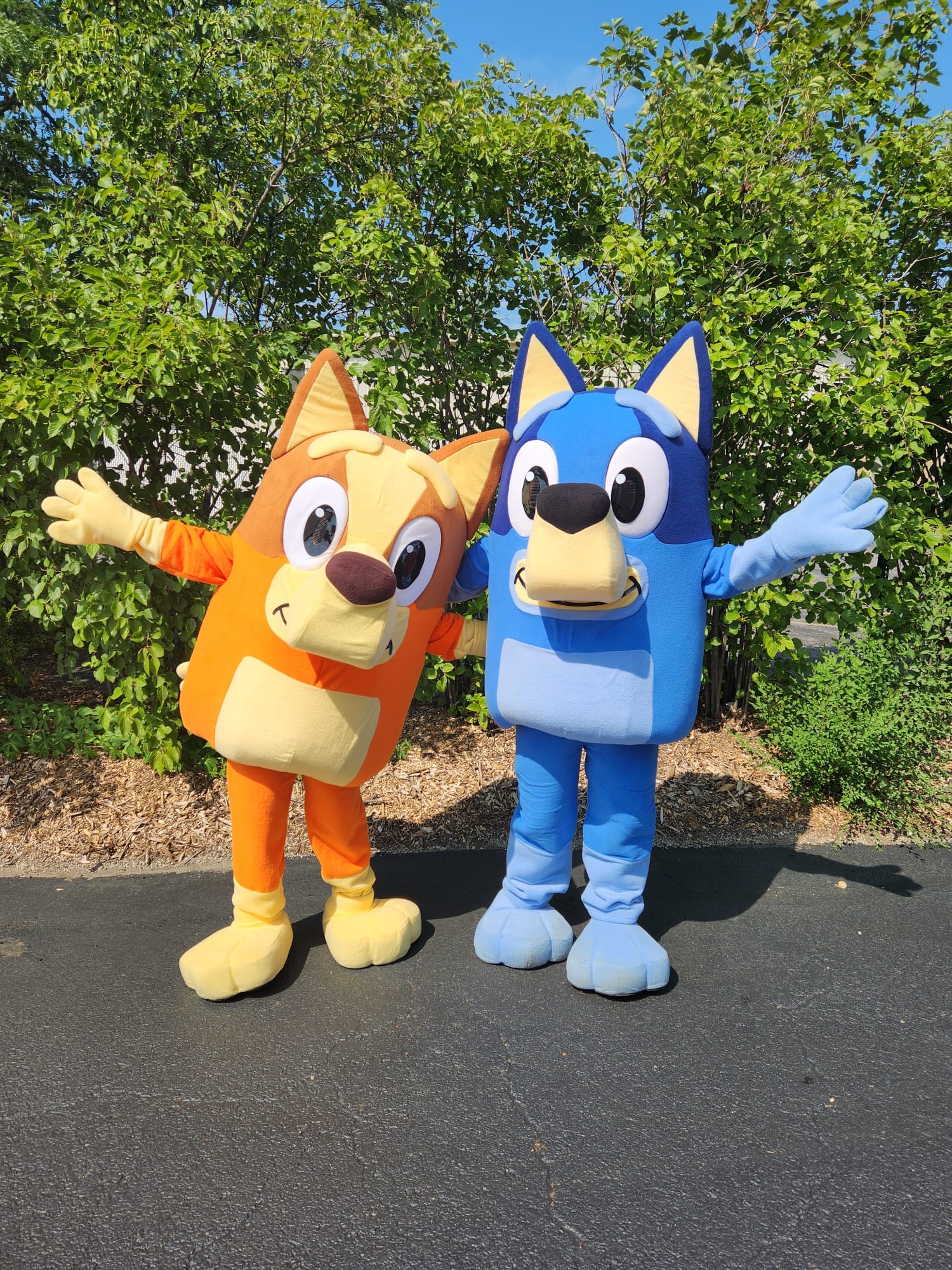 Mascot party characters