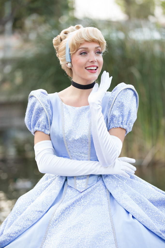 Cinderella party character
