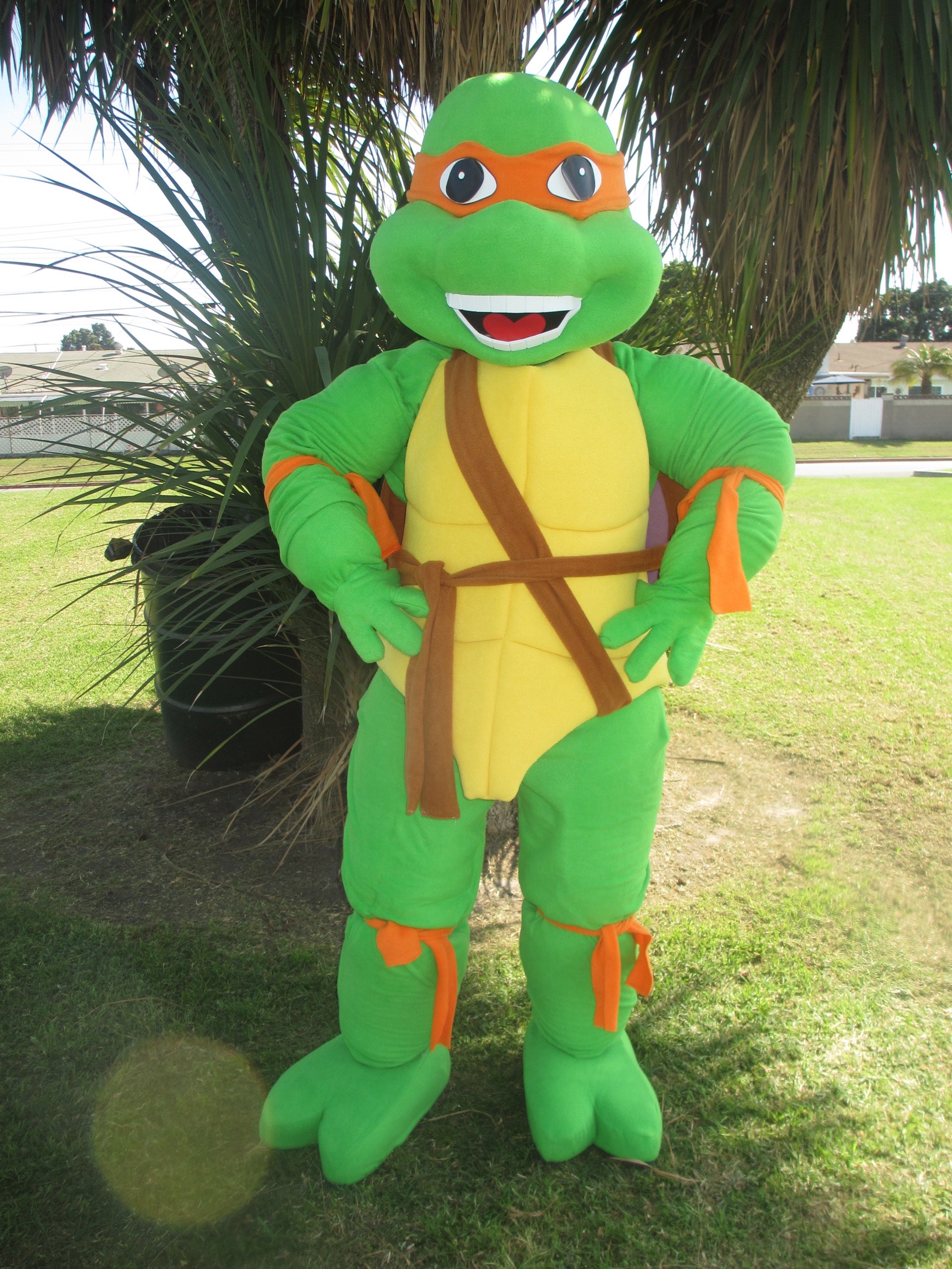 Hire Ninja Turtles for birthday parties - TMNT character performers